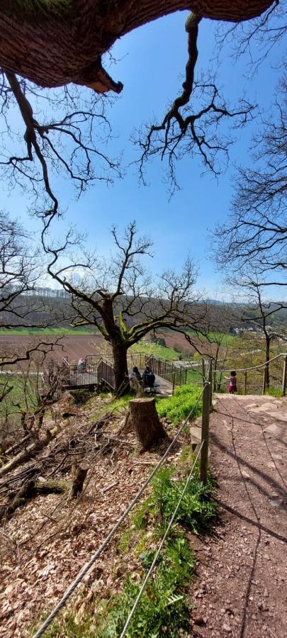 Apartmán Froschkoenig Mit Teichblick Trendelburg Exteriér fotografie