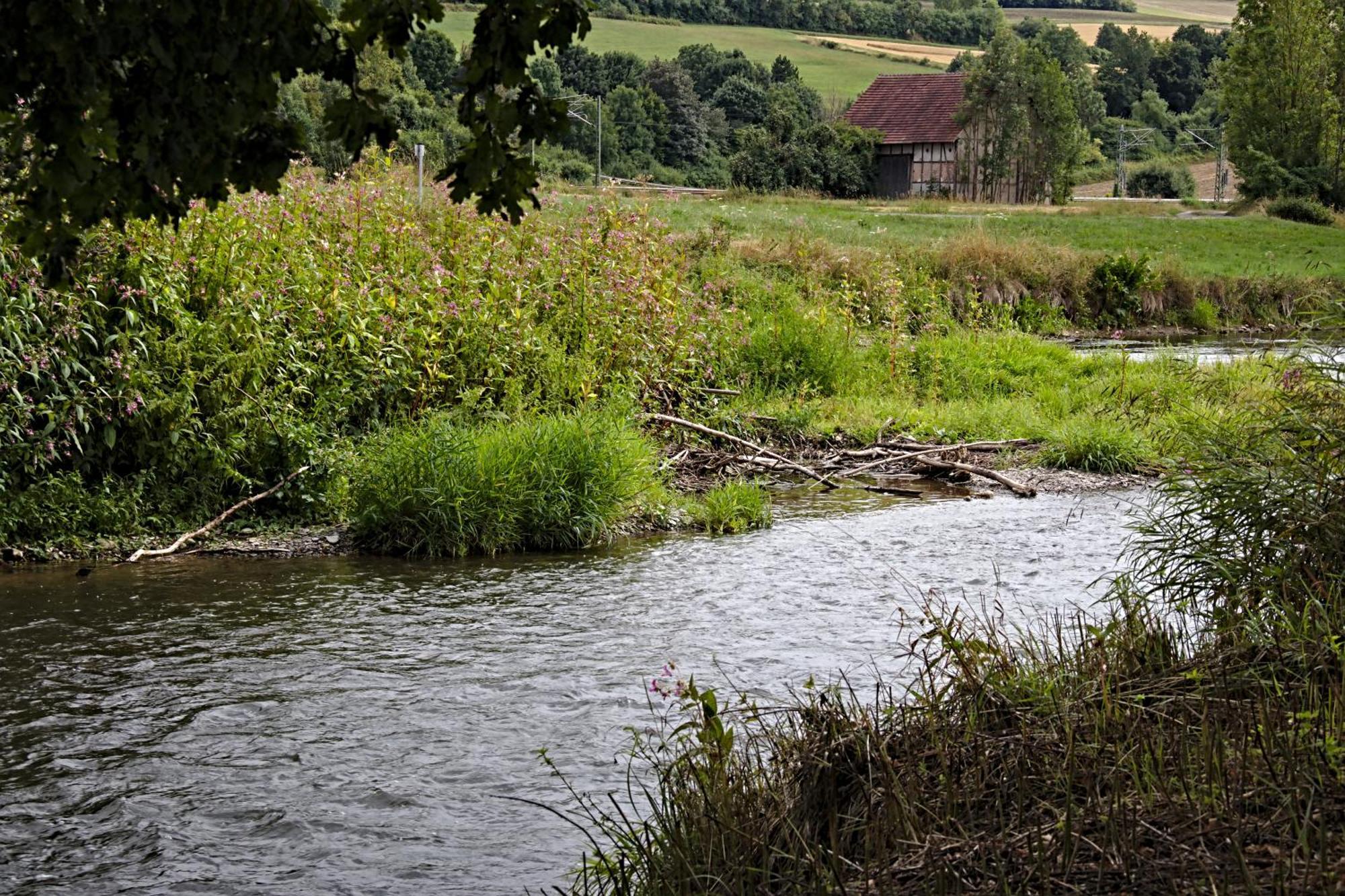 Apartmán Froschkoenig Mit Teichblick Trendelburg Exteriér fotografie
