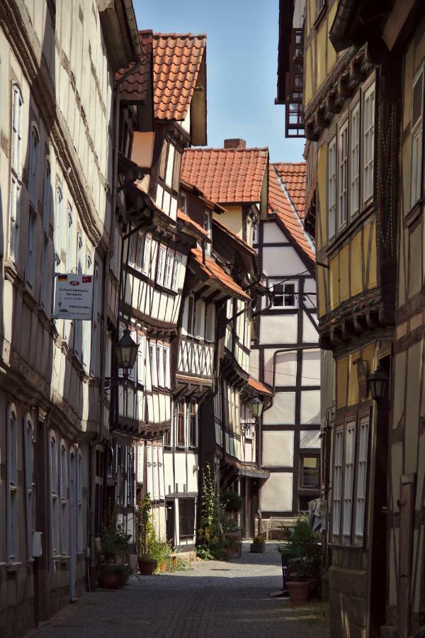 Apartmán Froschkoenig Mit Teichblick Trendelburg Exteriér fotografie