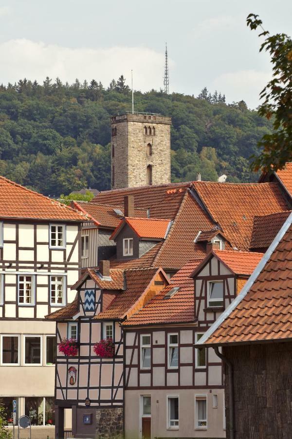 Apartmán Froschkoenig Mit Teichblick Trendelburg Exteriér fotografie